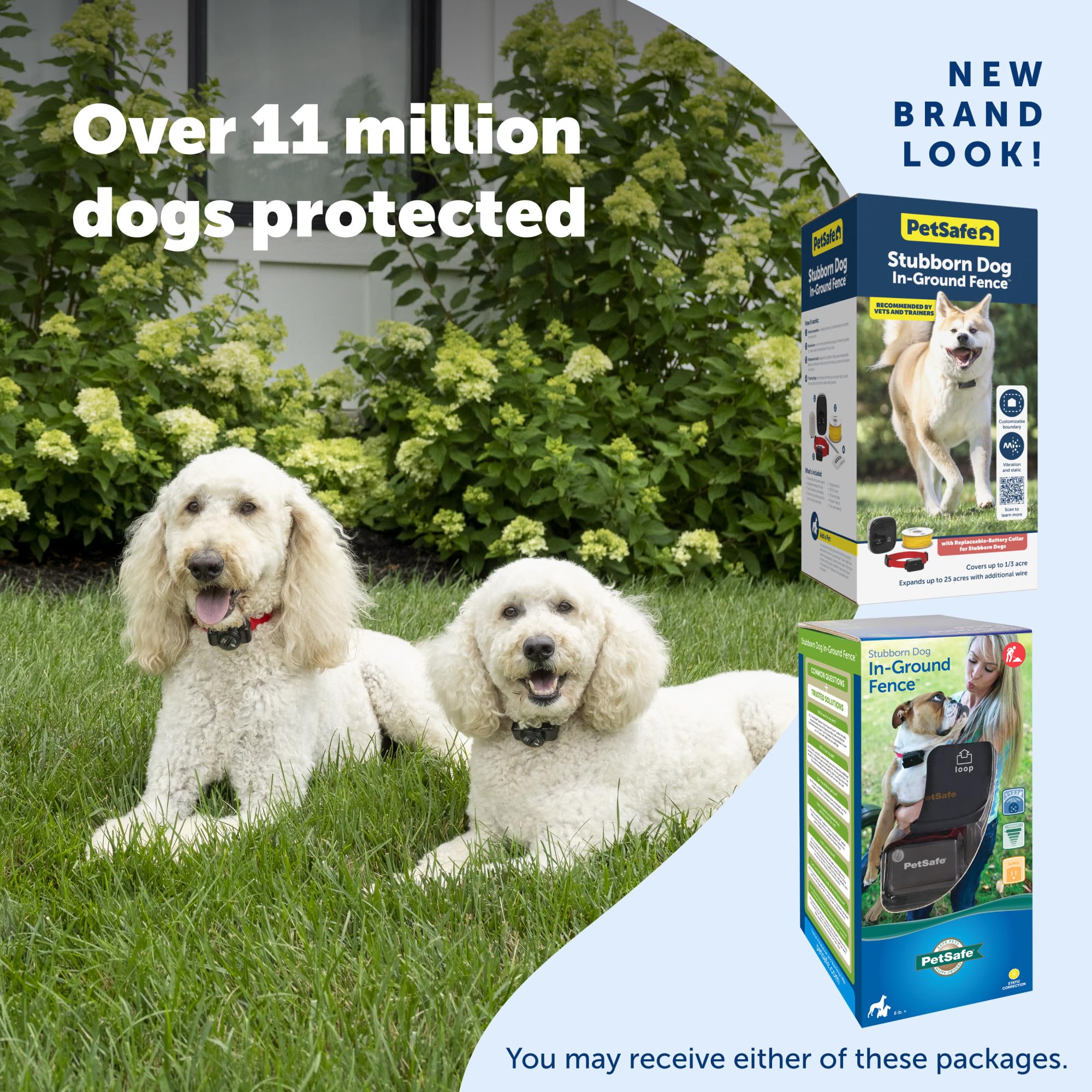 Petsafe Stubborn Dog In-Ground Fence receiver collar is waterproof and adjustable for comfortable training.