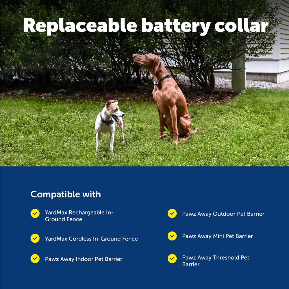 Petsafe YardMax in-ground fence setup illustrating integrated safety system