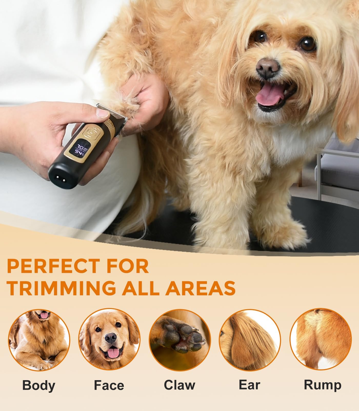 Petsaunter clippers with attachments for versatile coats