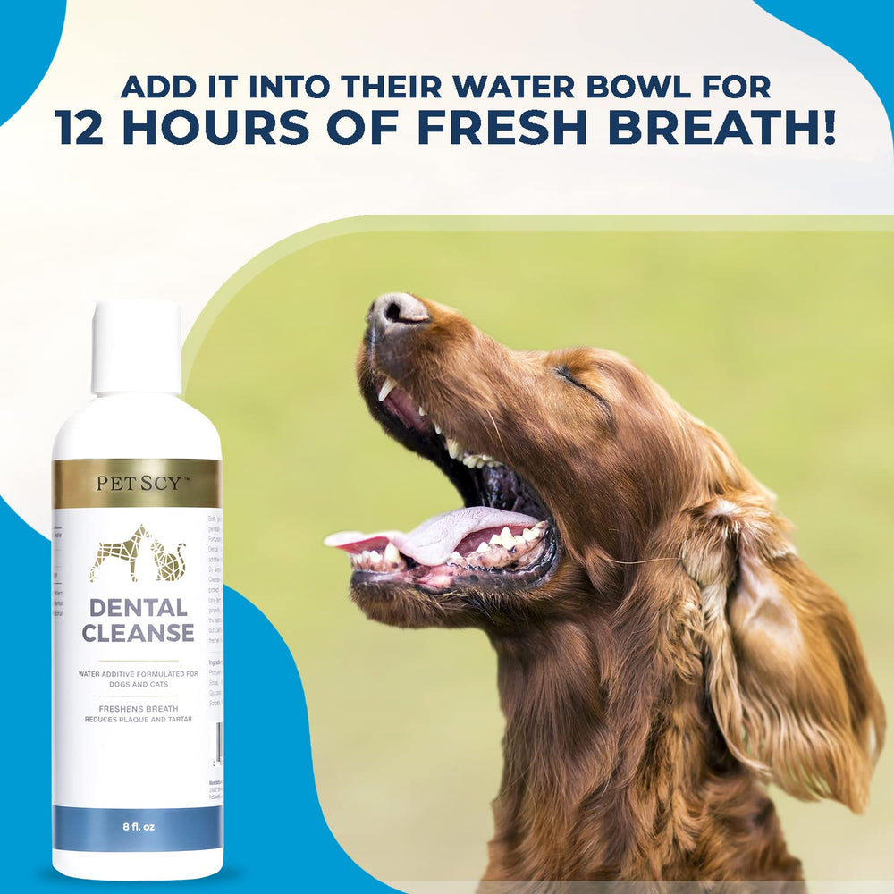 Petscy Dental Cleanse bottle label close-up showing natural ingredients
