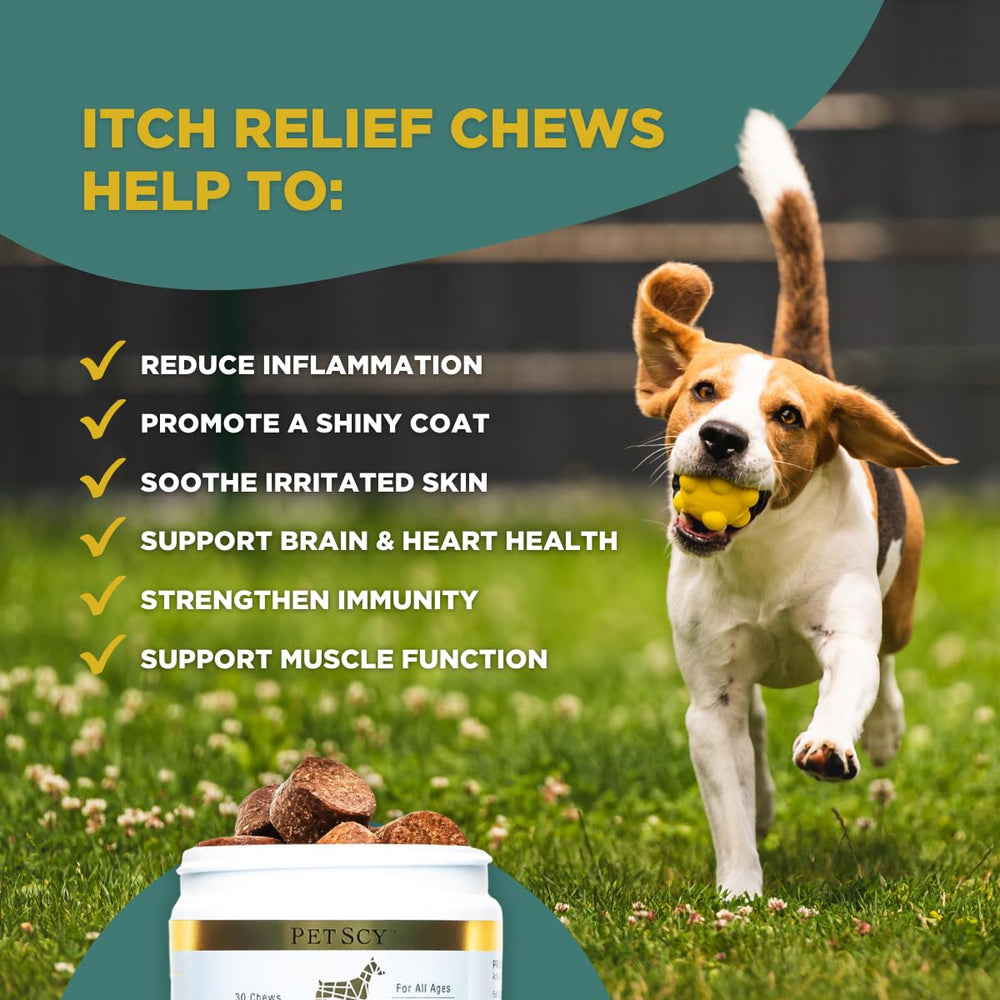Bottle and label convey responsibly sourced ingredients and additive-free nutrition.