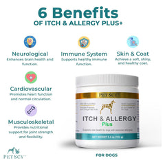 PetScy Itch & Allergy Plus Chews tube pack on counter for easy daily dosing and gut health.