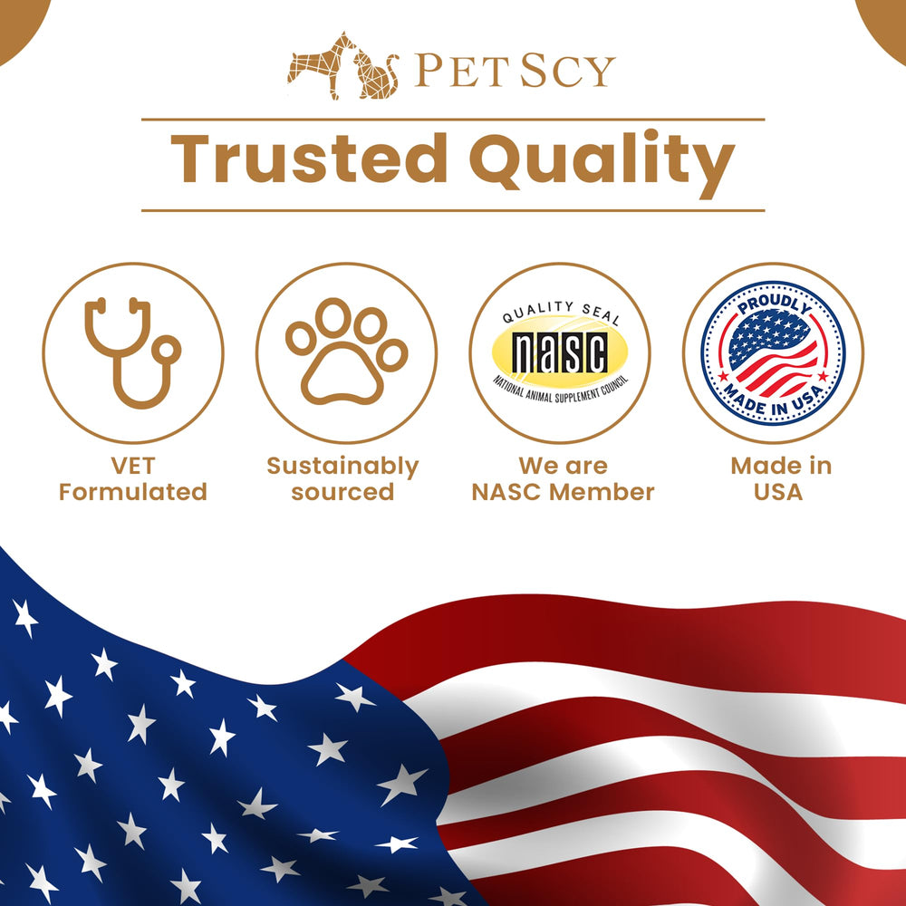 Petscy Keto Skin Relief Mousse product stand conveys ready-to-use skin care for pets.