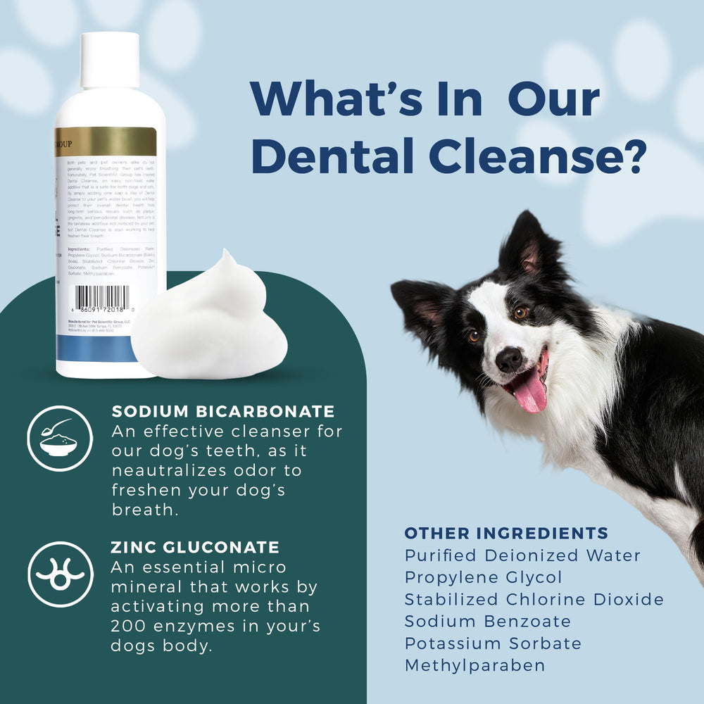 Petscy pet enjoying fresher breath after daily water additive use