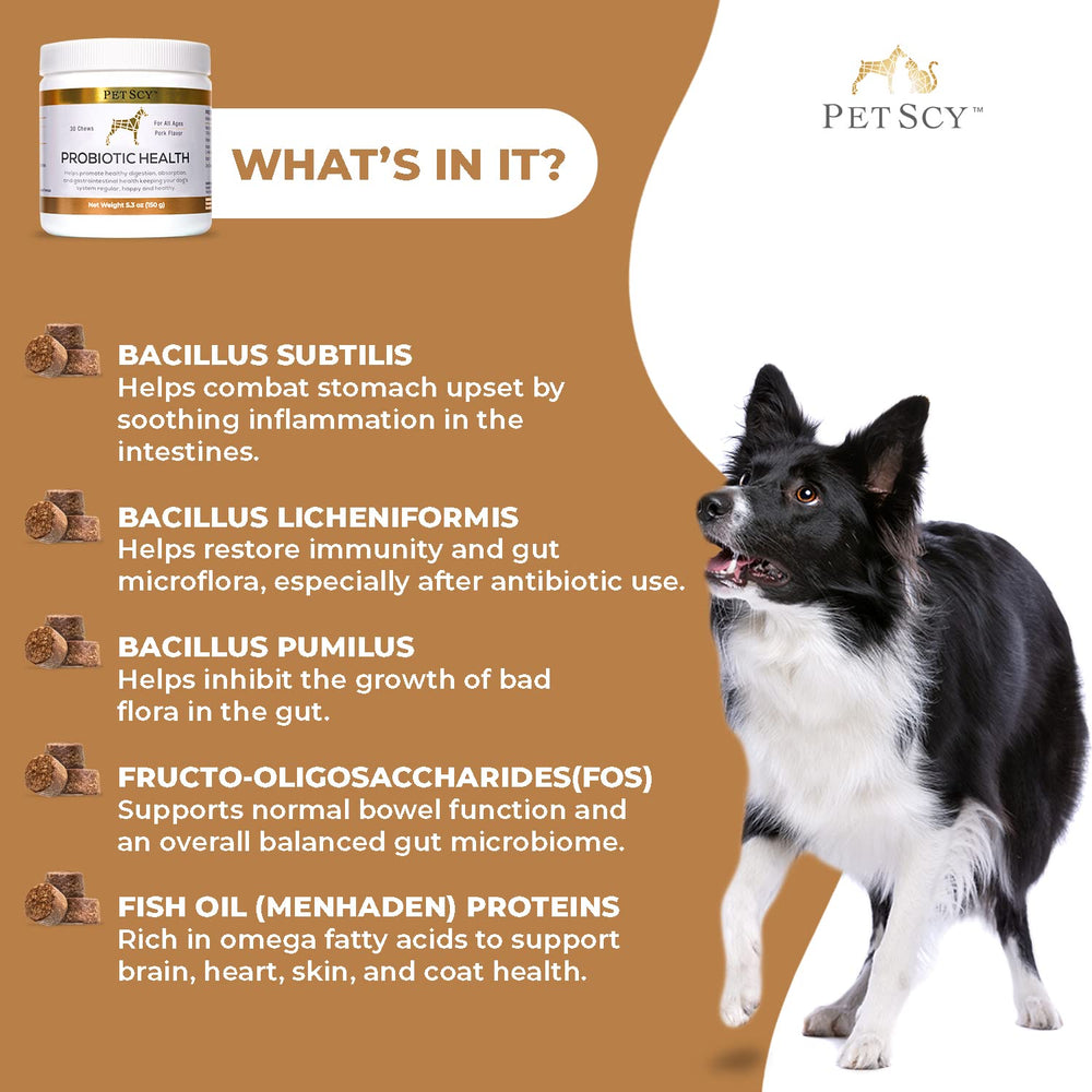 PetScy probiotic chews digestive health scene showing gut balance