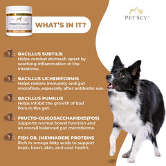 PetScy probiotic chews digestive health scene showing gut balance