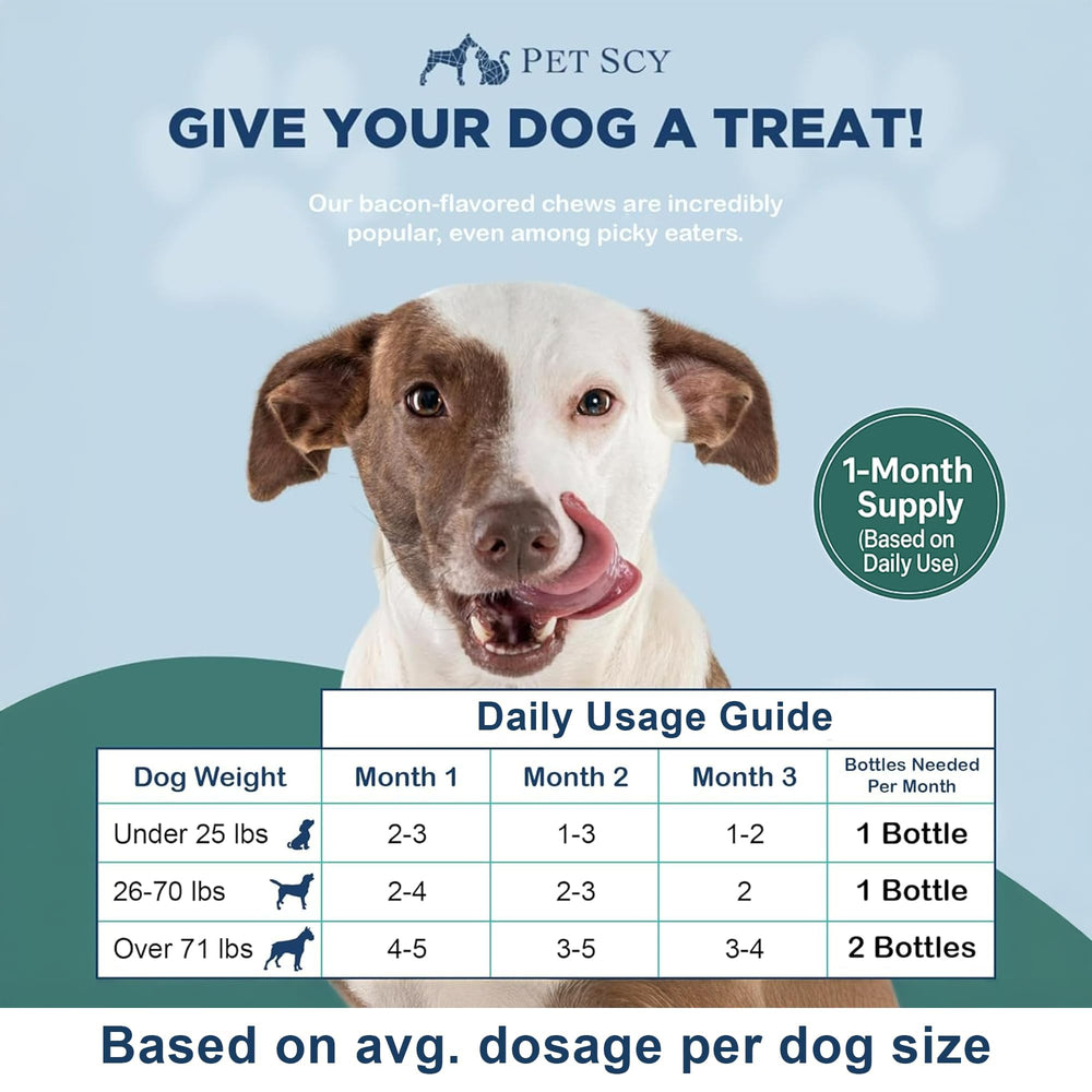 PetScy chews shown with a dog enjoying a calm, skin-friendly day.