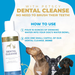 Petscy water additive in cat bowl simplifying dental routine