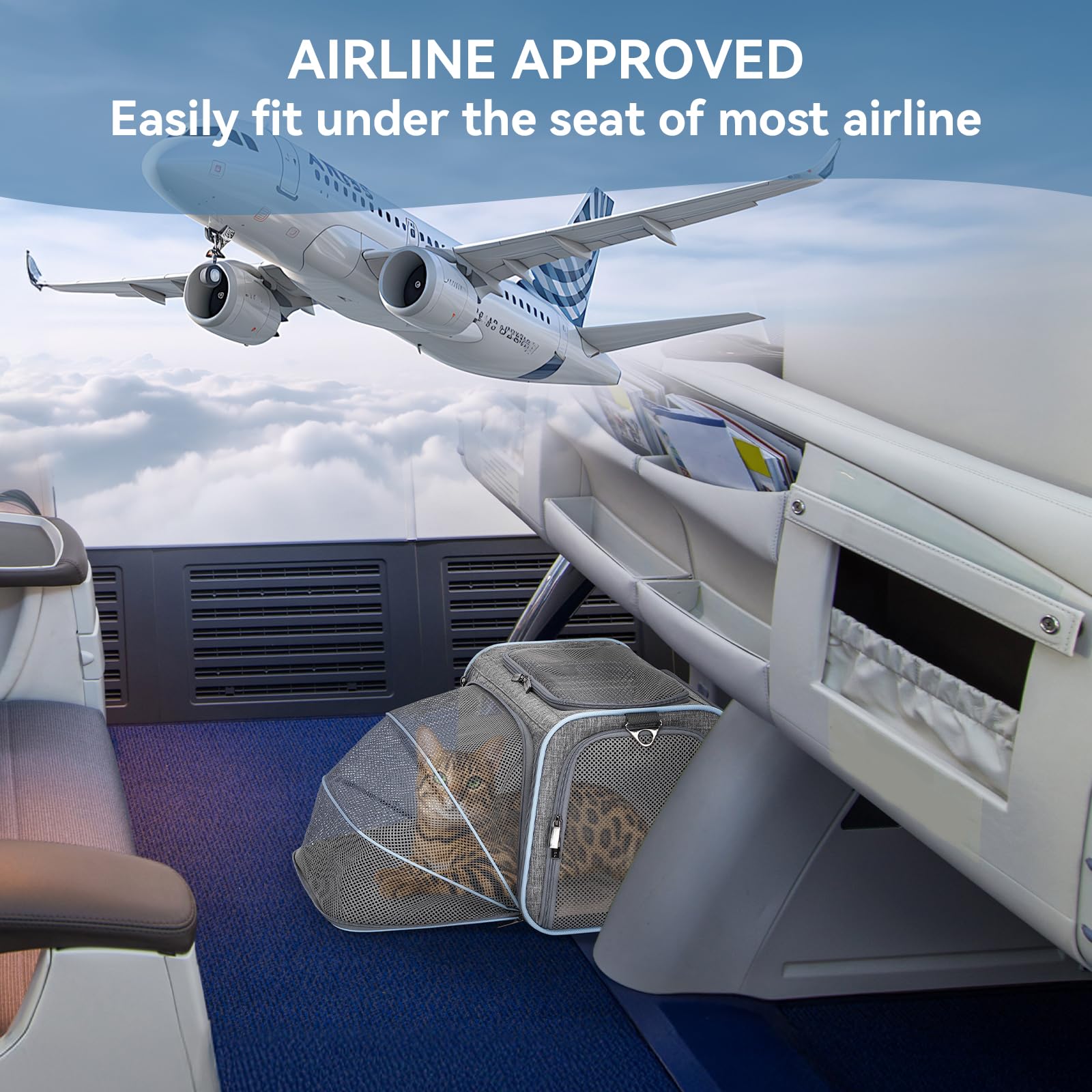 Petsfit airline-approved small carrier fits under most airplane seats.