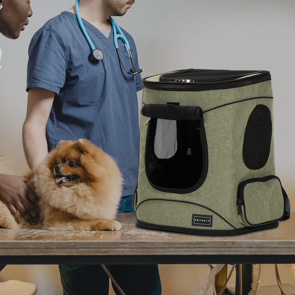 Petsfit Backpack interior showing safety belt for secure travel