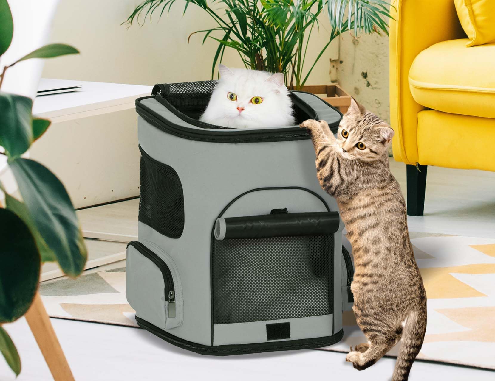 Petsfit backpack side pockets store essentials for convenient outdoor adventures.