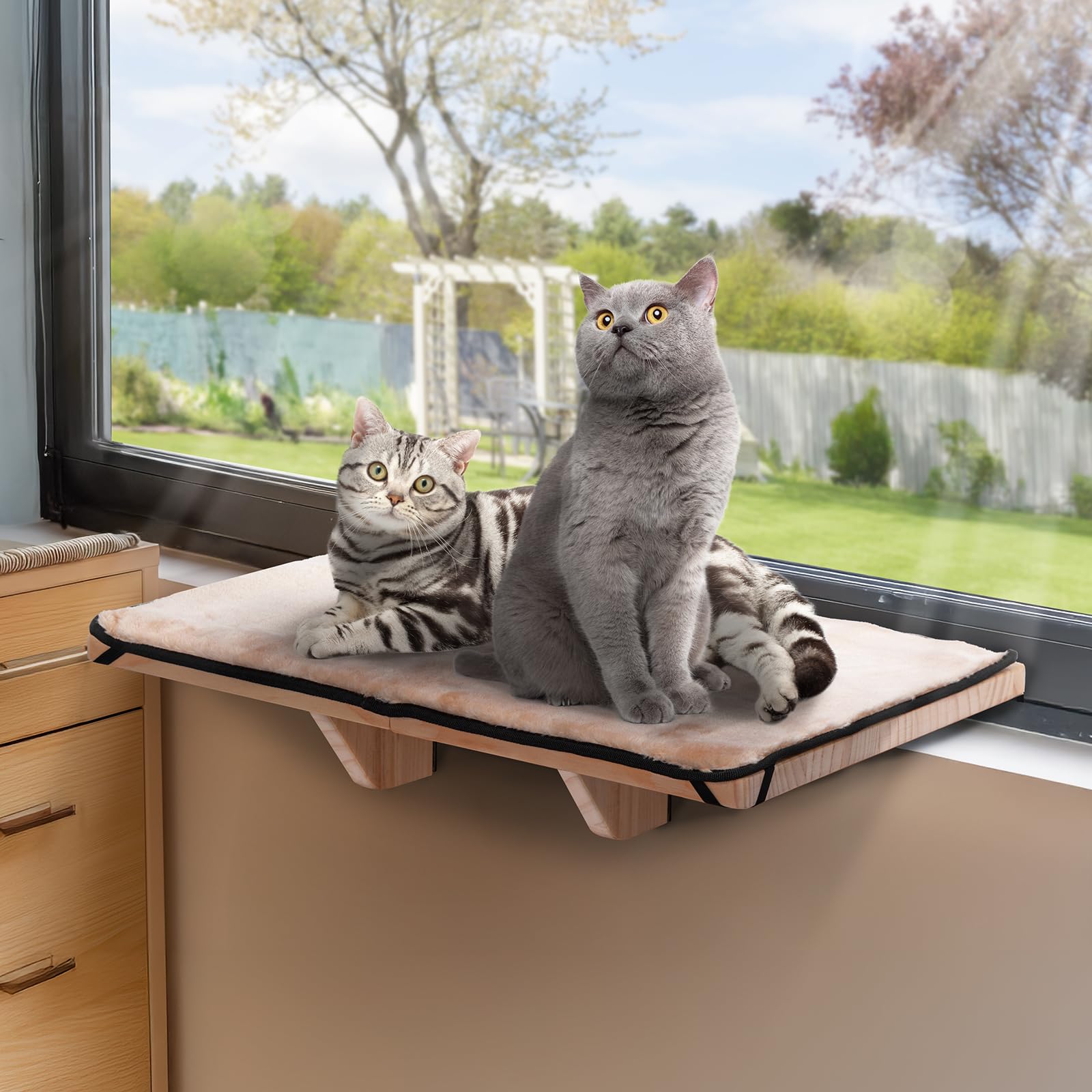 Petsfit cat window perch setup shows easy, secure mounting for two cats