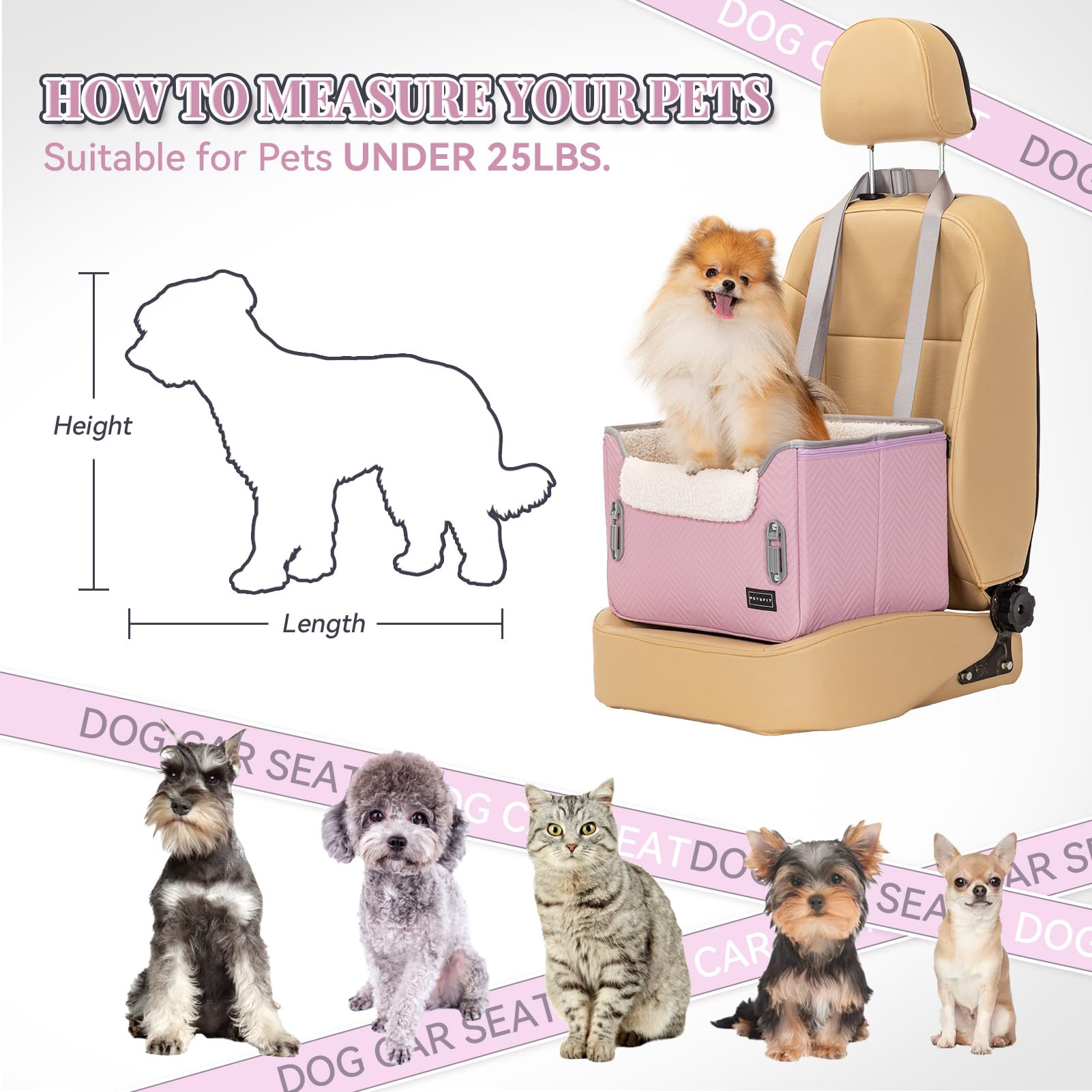 Petsfit detachable board makes cleanup quick and simple.