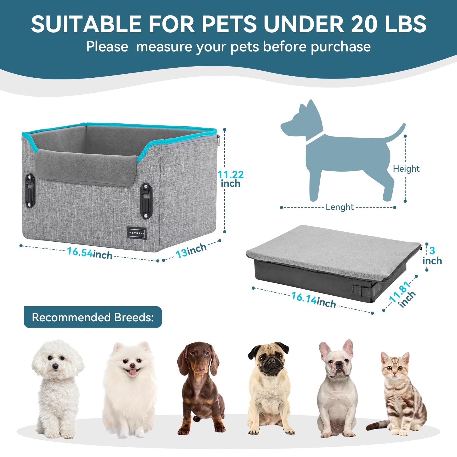 PETSFIT elevated view boosts dog comfort by letting them see outside.