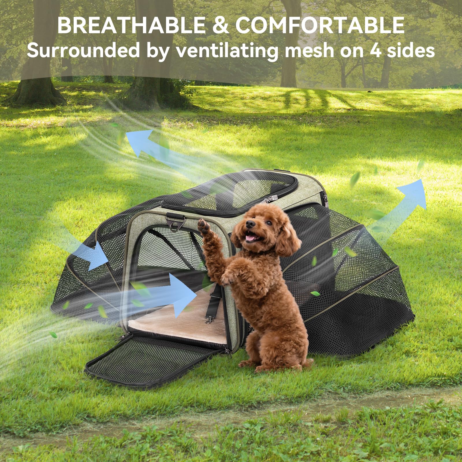 Petsfit expandable carrier is airline-approved S/M size for flights