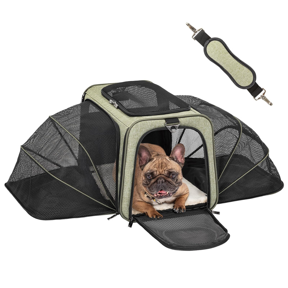 Petsfit Expandable Cat Carrier interior with plush mat for cozy travel naps