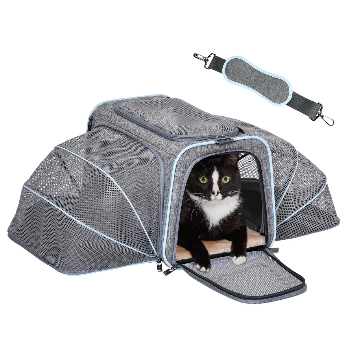 Petsfit expandable large cat carrier under-seat for airline travel.