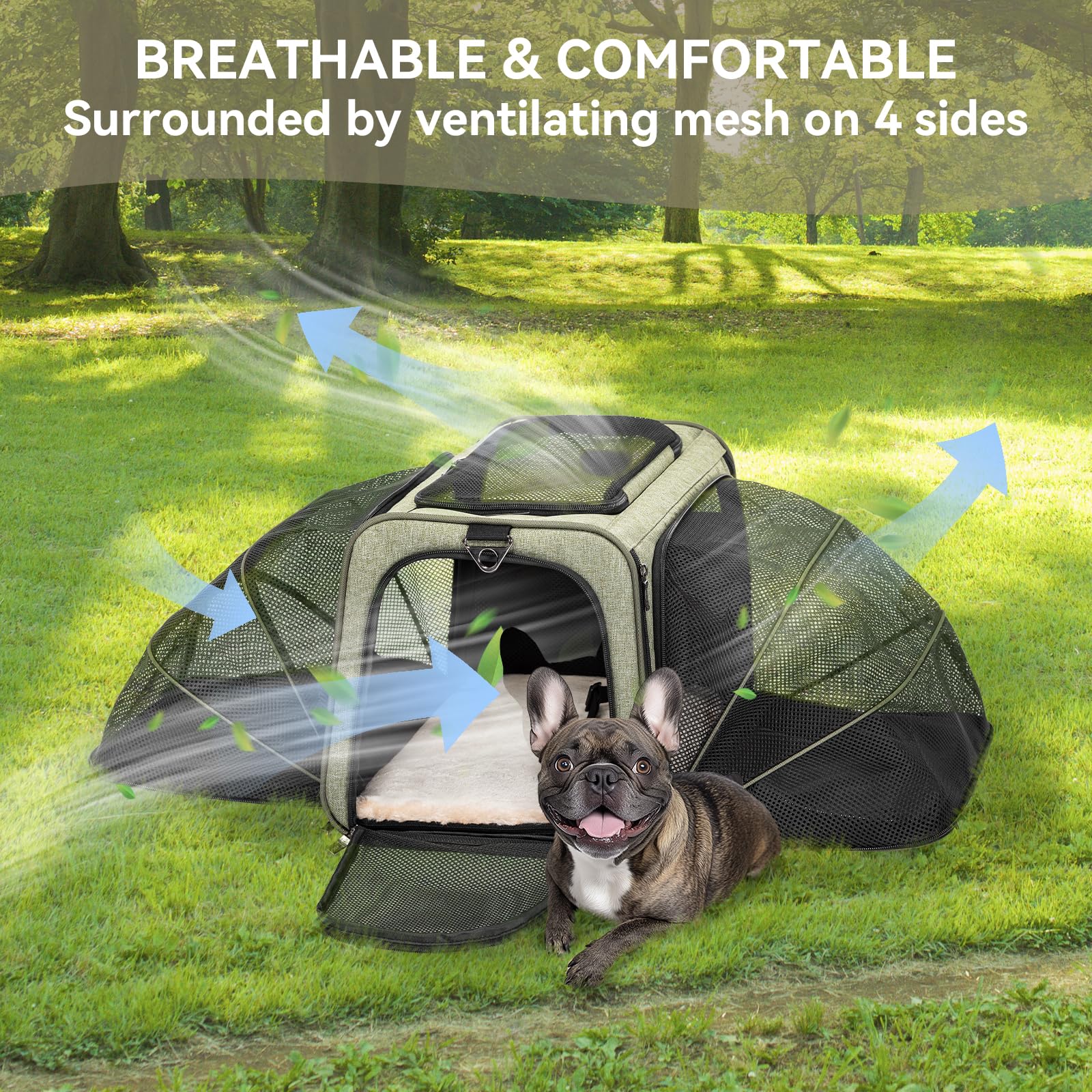 Petsfit Expandable Carrier airline-under-seat suitability for flights