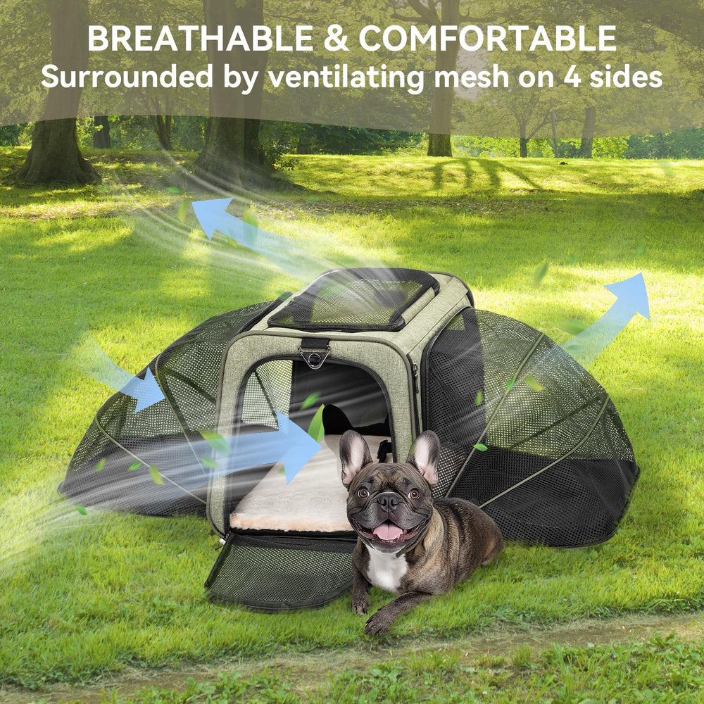 Petsfit Expandable Carrier airline-under-seat suitability for flights