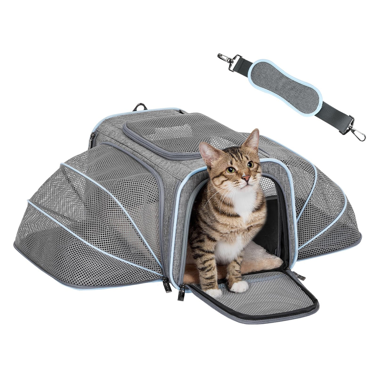 Petsfit expandable small cat carrier side view for compact travel.
