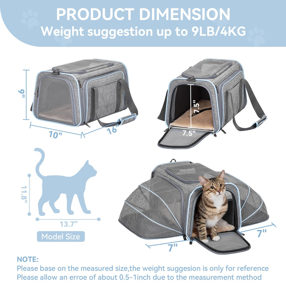 Petsfit expandable small-cat carrier under-seat view for easy travel.