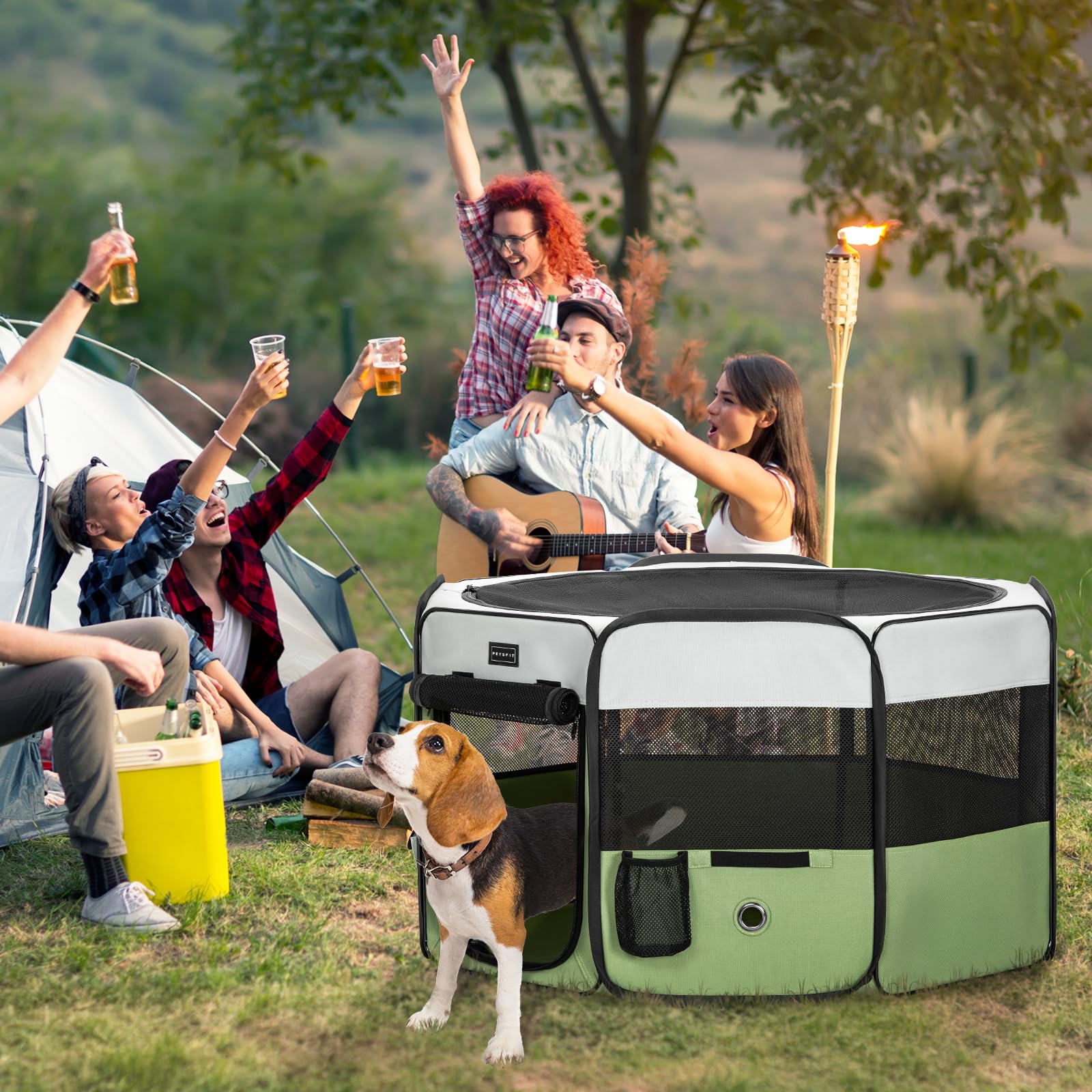 Petsfit indoor-outdoor-transition shows versatile space for pets between home and yard.