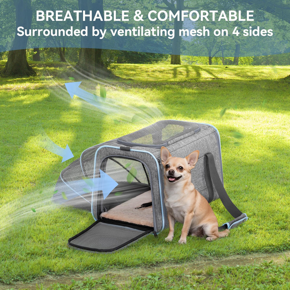 Petsfit locking zippers enhance security while traveling with pets.