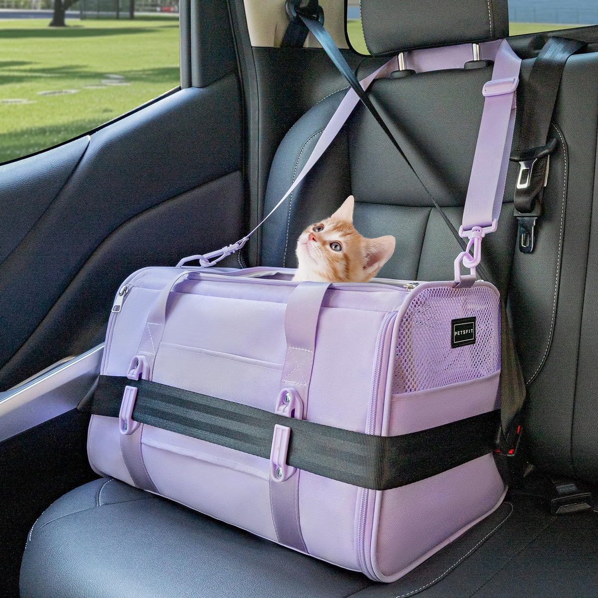 Petsfit cat carrier shows patented safety buckles for secure car travel