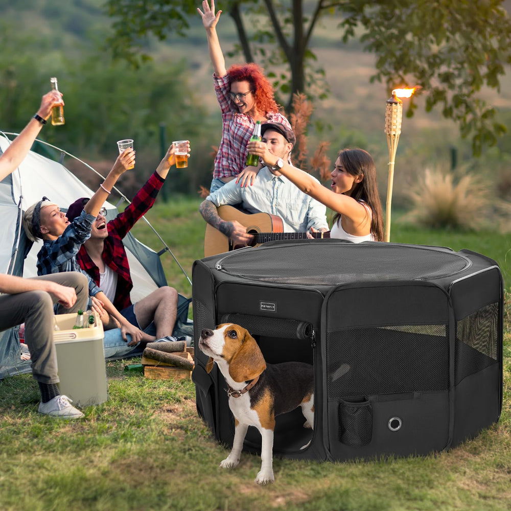 Petsfit cat observation deck roof view showcases multi-function space