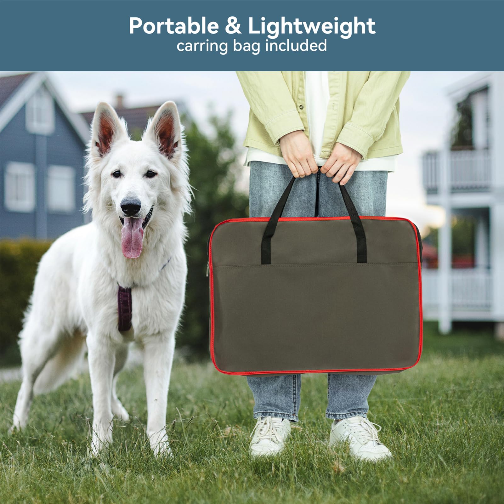 Petsfit puppy training space supports contained learning and focus.