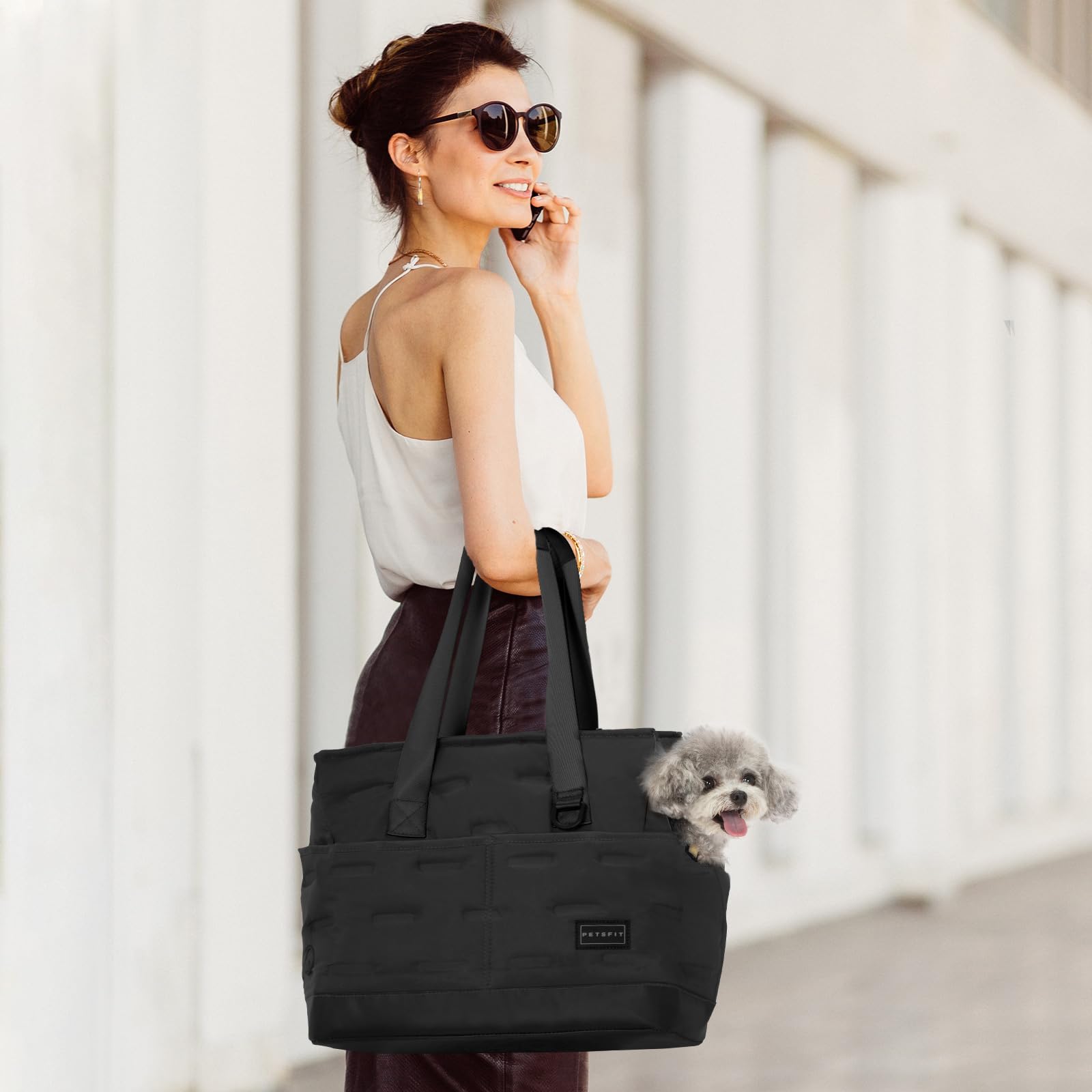 Petsfit small dog purse carrier front pockets for quick-access essentials
