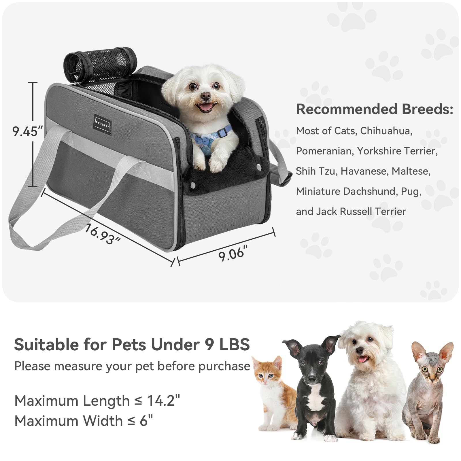 Petsfit soft pad is detachable and washable for hygiene.