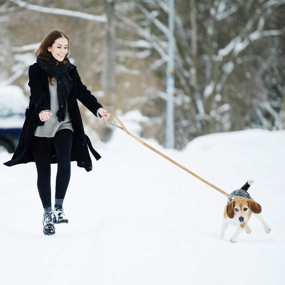 PetsHome gold-colored leash adds a touch of elegance to any outing.