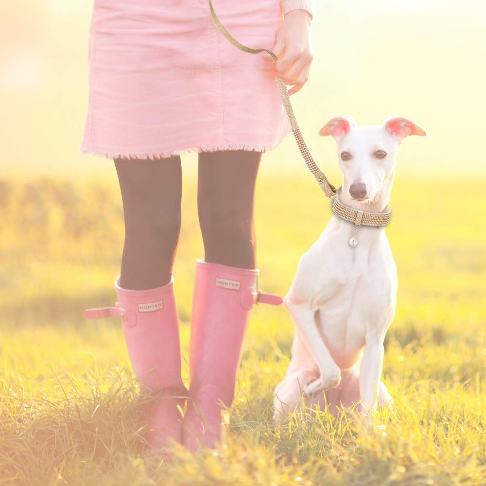 PetsHome walking-safe design suits small to medium dogs for everyday adventures.