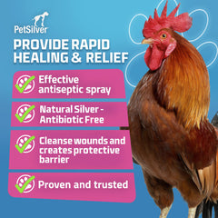 PetSilver used on head, beak and feet for versatile care
