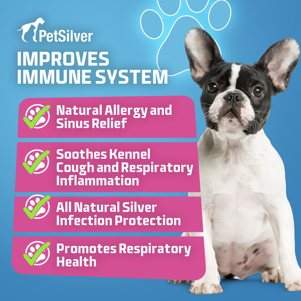 PetSilver dog-nebulizer-use shows quick treatment session for pets