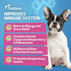 PetSilver dog-nebulizer-use shows quick treatment session for pets