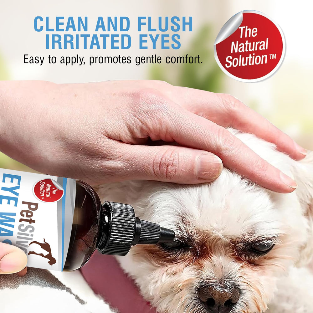 PetSilver Eye Drops dog eye close-up for calm, easy application.