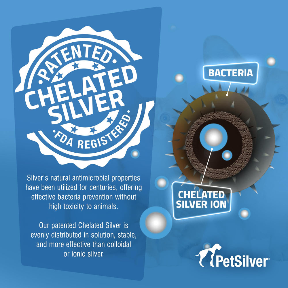 Cat-focused image highlights nasal relief support from PetSilver Immune Support.