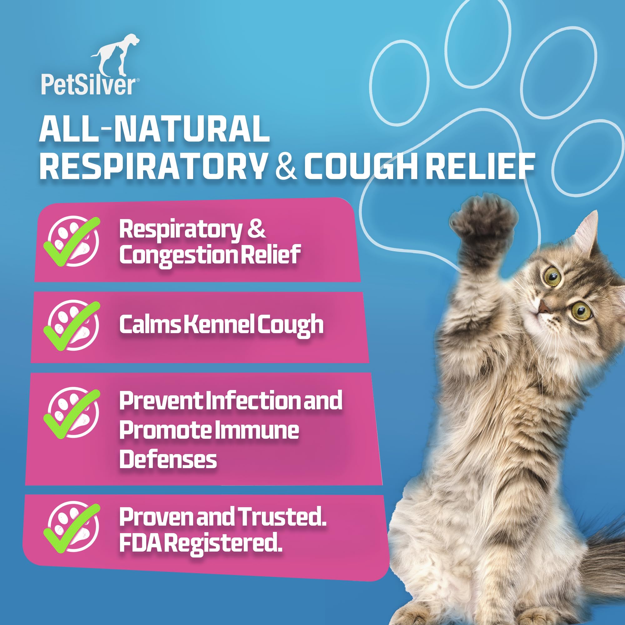 Dog-focused image shows kennel cough context with PetSilver Immune Support usage.