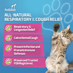 Dog-focused image shows kennel cough context with PetSilver Immune Support usage.