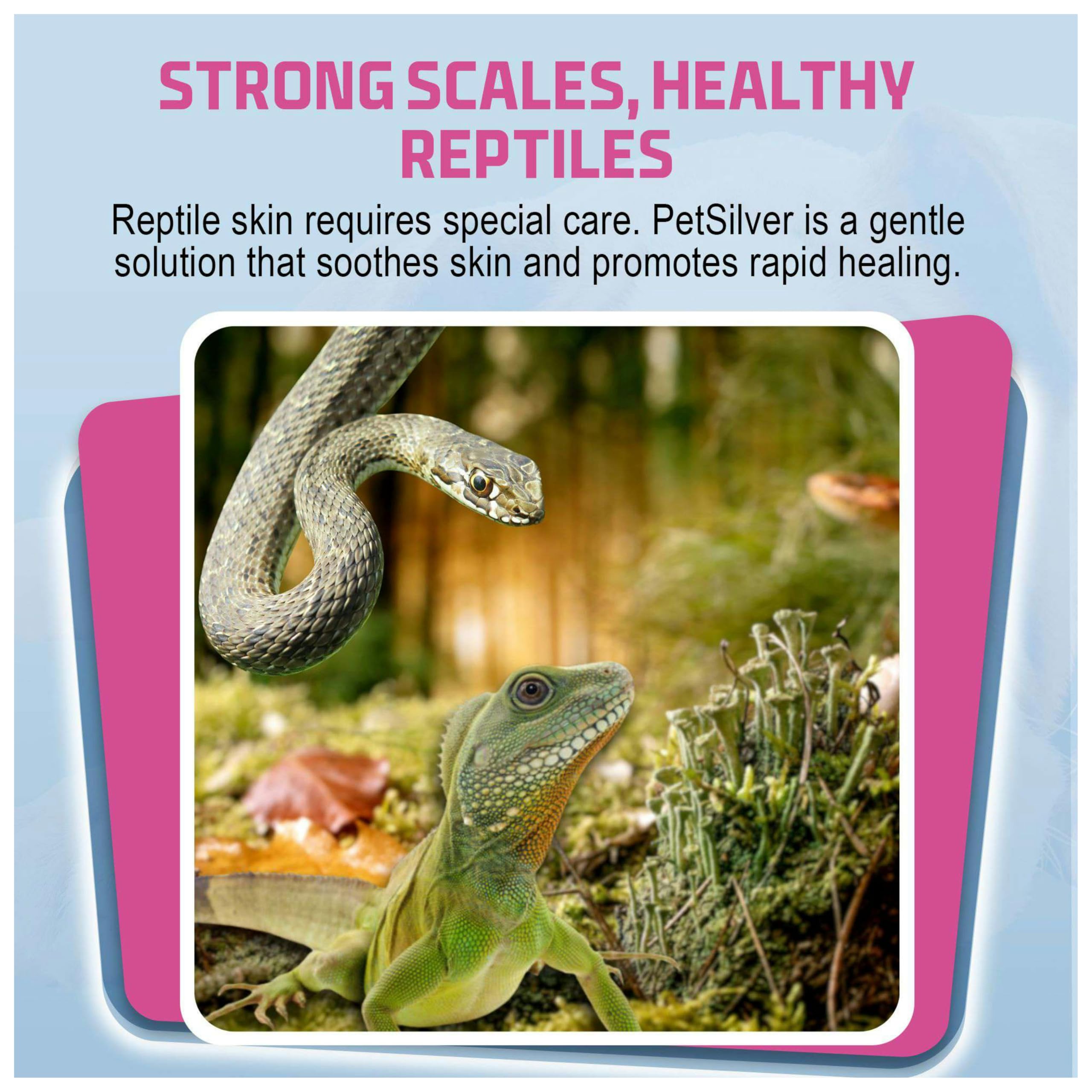 PetSilver Reptile Wound Spray proudly made in the USA