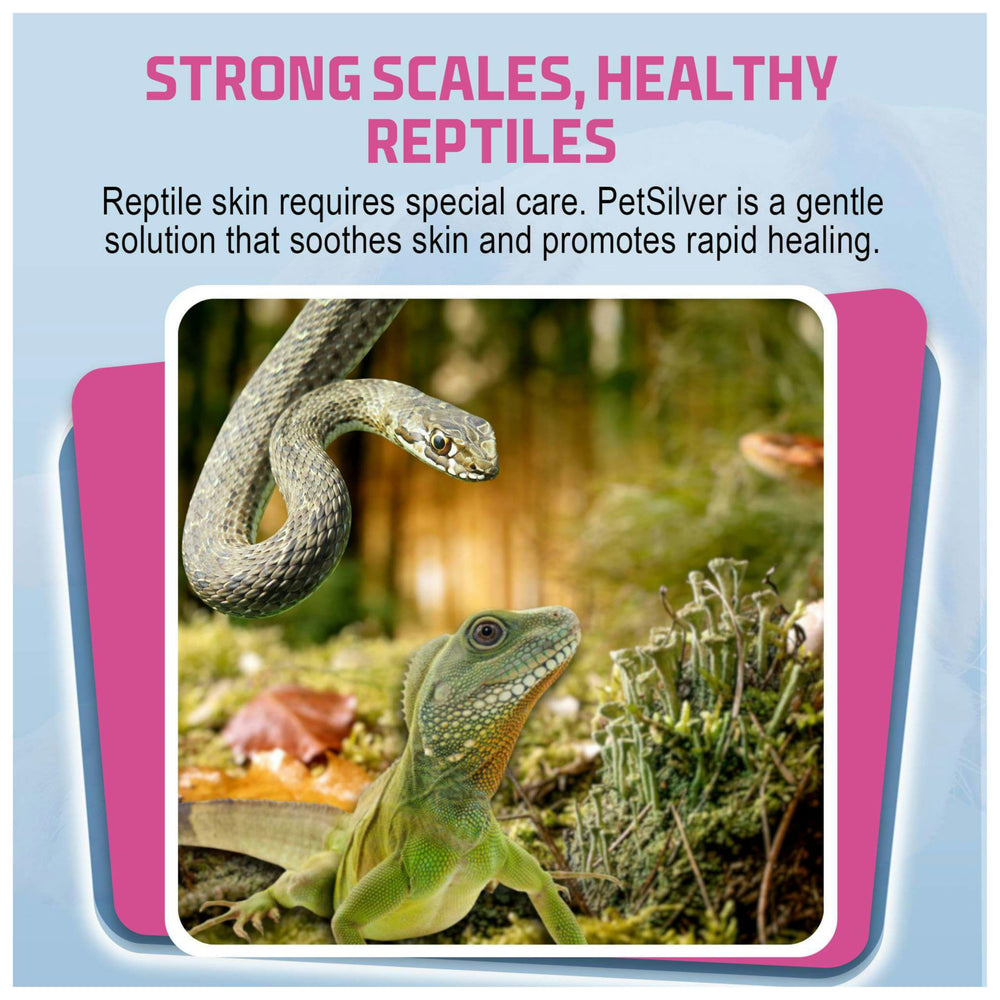 PetSilver Reptile Wound Spray proudly made in the USA