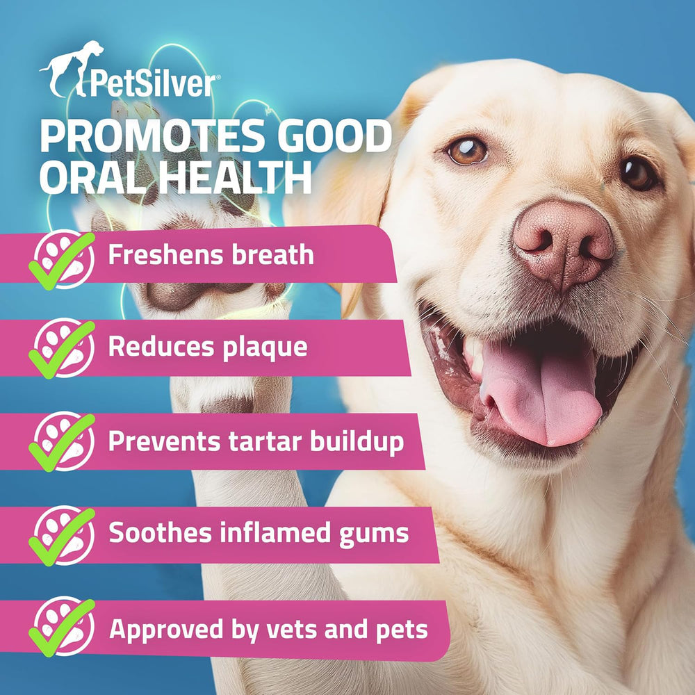 PetSilver Teeth & Gum Spray application closeup shows easy spray-on use.