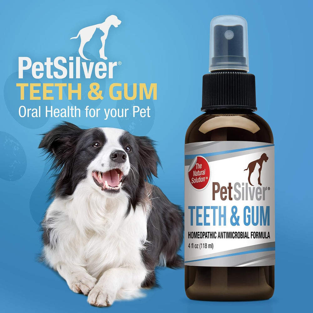 PetSilver 4 oz packaging ready for home dental care setup.