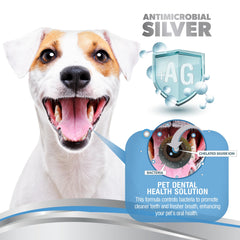 PetSilver water additive in a cat bowl for easier dental care and better breath.