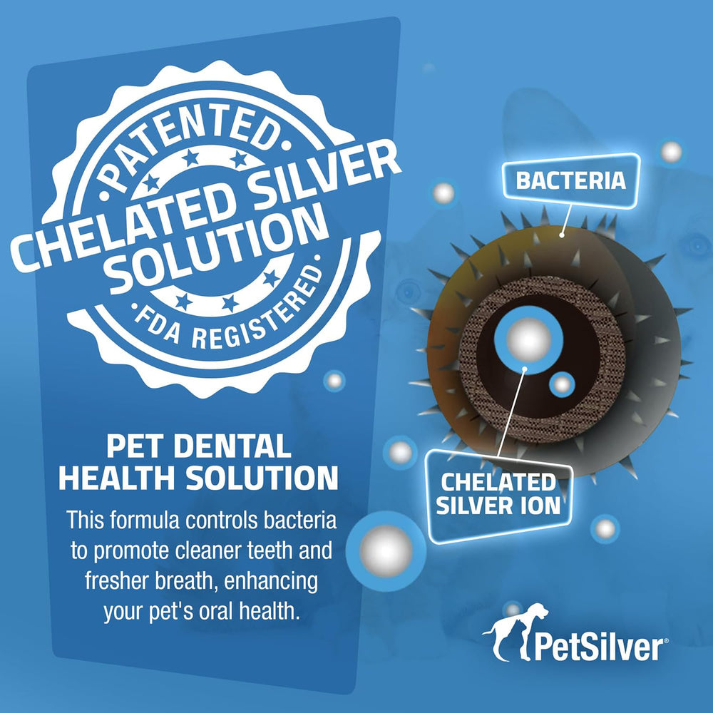 PetSilver Teeth & Gum Spray on cats supports oral care with minimal brushing.