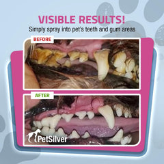PetSilver Teeth & Gum Spray on dogs promotes fresh breath and easier routines.