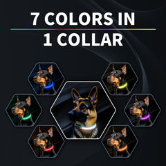 PetIsay Premium LED Dog Collar color-switch enables quick color changes for night adventures.