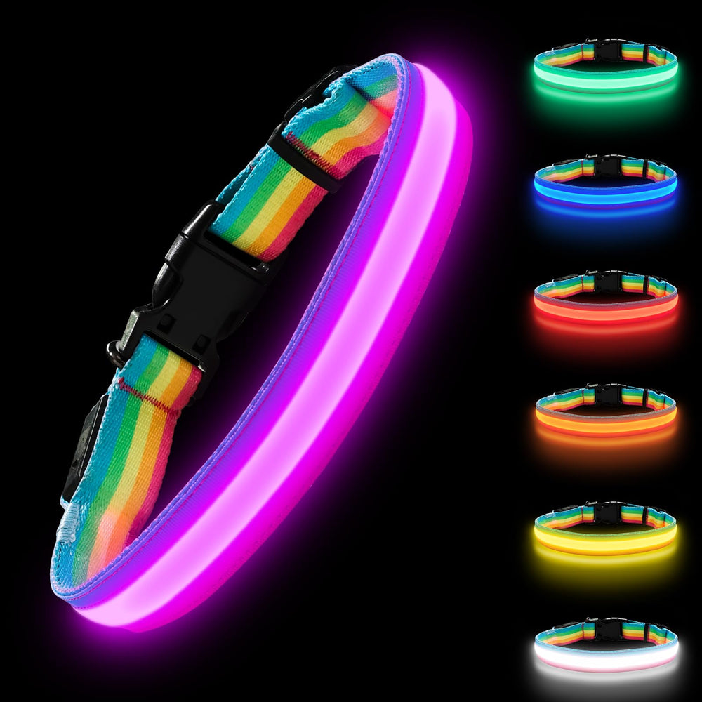 PetIsay Premium LED Dog Collar front view glows evenly for safer night walks.